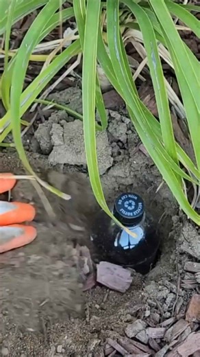 Genius garden hack 👀