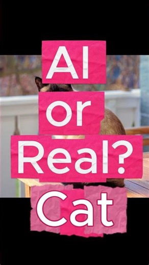 AI or Real? Siamese Cat with Electric Blue Eyes | AI illusion challenge
