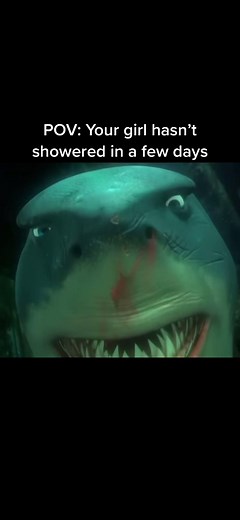 Simply devine 👨‍🎨 #fyp #shark #relatable #findingnemo #meme | bruce finding nemo