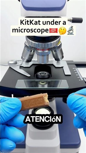 ¡La VERDADERA APARIENCIA de las KITKAT bajo un microscopio! 😱😨