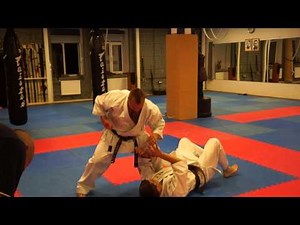 Uechi-ryu karate do / jiyu kumite Uechi ryu / free sparring