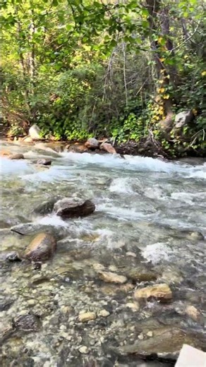 Dreamiest Creekside Airbnb in California
