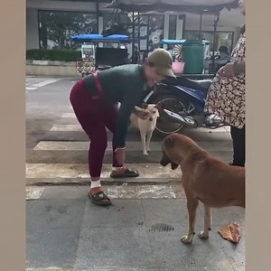 The funniest unexpected DOG MOMENTS on earth! 🤣 | Pawsome Pups