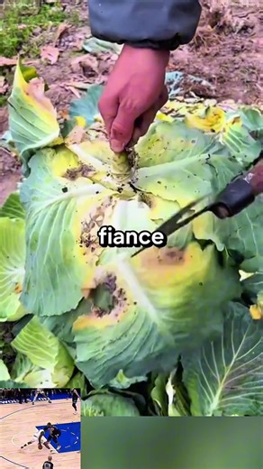 Second Date Prank Highlights with Brooke and Jubal