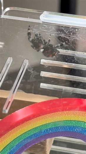 Meet Teddy our newest addition to the Smith family. | Aki Smith