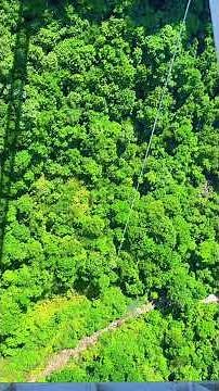 First-person bungee jump view, amazing! Zhangjiajie glass bridge bungee