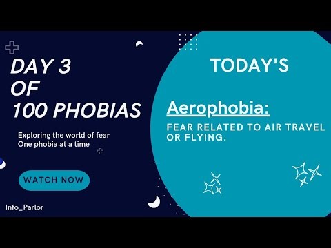 Aerophobia Explained: What Your Brain Fears About Flying.
