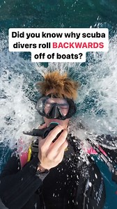 63K views · 48 reactions | Follow me for more scuba diving tips 浪 | Sethangss | Facebook