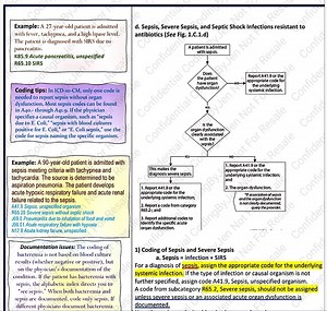 Typed ICD10 CM Guidelines 105 Pages Coding Examples Tips Sequencing Documentation Help Plus Top 10 CPC Exam List Medical Coding Billing - Etsy