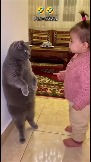 مسكين القط: مواقف مضحكة من الذكاء الاصطناعي
