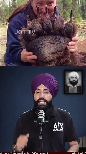 🐍 Shocking Animal Body Parts You Won’t Believe Exist #AnimalFacts #WeirdAnimals #NatureFacts