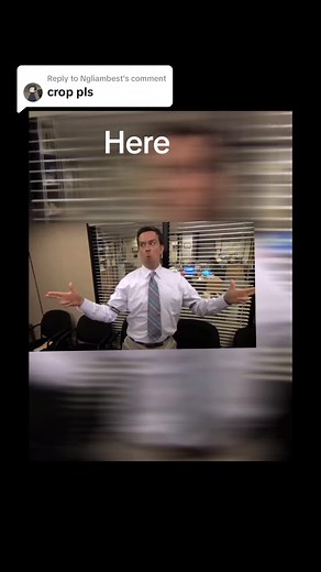 Replying to @Ngliambest here u go #viral #responsevideo #crop #office