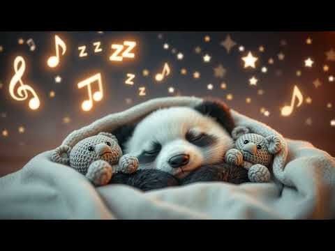 Shadow Glow Lullabies for Sleepy Time 3+ hours 🌙✨