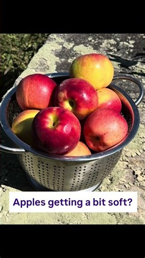 Easy Crock Pot Applesauce
