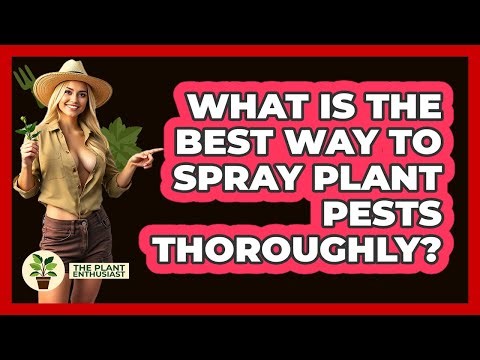 What Is The Best Way To Spray Plant Pests Thoroughly?