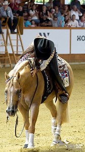 2.8M views · 71K reactions | The true power couple! Taylor Zimmerman and TJ just slid into the silver with a 222.5  #TeamUSAReining #WRC2025 #SlideForGold #TaylorAndTJ #ReiningHorse #USAEquestrian #IndividualFinals #AllAboutRuf | Team USA World Reining Championships | Facebook
