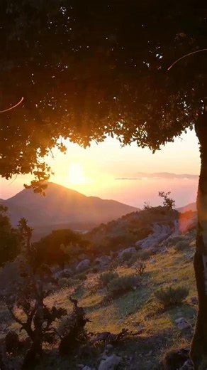 Welcome November, Καλό Μήνα! 🍁 November in Greece — the month we swap beaches for mountains, islands for cozy villages, and swims for fireside coffee. 🍂 A time for road trips through misty hills, local feasts, and slow autumn days that still feel a little like summer. 🧡 Wishing you all peace, love, happiness and health, for this new month. ✨ | Greek City Times