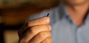 Tiny robot tools powered by magnets could one day do brain surgery without cutting open the skull