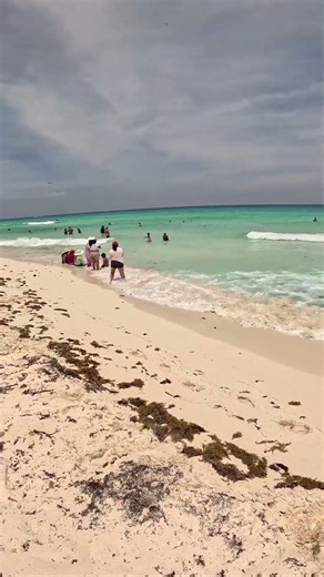 CANCUN: The Only Paradise Without Sargassum