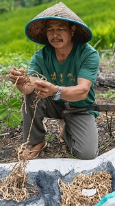 341K views · 1.2K reactions | To preserve their ancestral traditions...