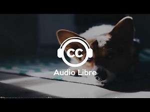 Musique Electro Pop Gratuite Qui Bouge Joyeuse Libre de Droits Espace | Trout Recording - Cars Sped