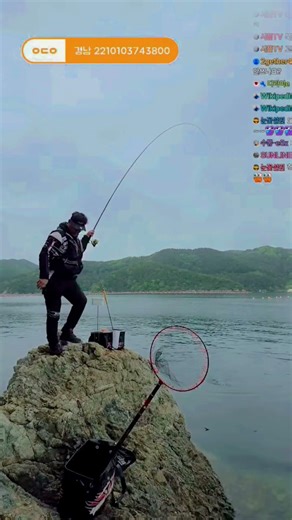 통영 직벽피싱 내만 감성돔 5짜감시 가즈아 #거제도 #벵에돔낚시