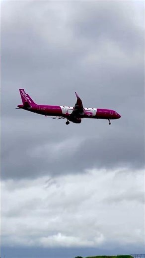 極為罕見的混合塗裝（Hybrid Livery）• 型號： 空中巴士 A321-211。 • 航空公司： 泰國越捷航空（Thai Vietjet Air）。