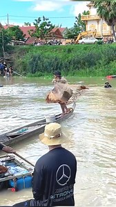 554K views · 2.4K reactions | Fishing net during flood season - fishing for food #fishing #fishinglife #gonefishing #fish #outdoors #rural #reelsvideoシ | Nimit Village | Facebook