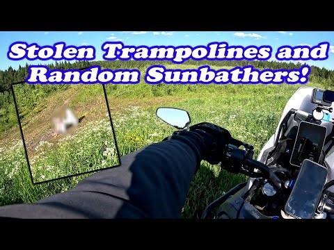 stolen trampolines and random sunbathers