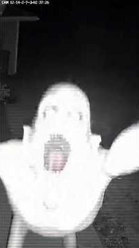 This Crawling Thing Was Caught on Camera at Night… 😨 #Shorts