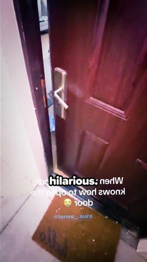 😳 This Doodle Knows How to Open Doors!