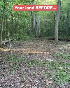 2.8K reactions · 654 shares | Earn thousands of dollars with Hipcamp! Signup today to begin hosting. | Hipcamp | Facebook