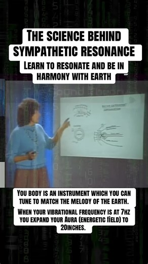 You are not separate from the Earth, you are part of an electrical system constantly interacting with it. The Earth carries a negative charge, the ionosphere above holds a positive charge, and between the two a field is created that you are living inside of at all times. . Within this field, everything is vibrating, electromagnetic waves, frequencies, signals moving constantly through the space around you and through your body. You are not just in the environment, you are in continuous resonance