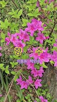 향수(이동원 박인수)서울뮤직tv