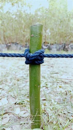 How to Tie a Rope to a Post | Strong & Secure Knot for Camping, Backyard & Survival 👌 #shorts