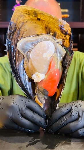 Chef Hiro on Instagram: ". . Shell Hacks You Never Knew! 平貝でラーメン一丁できあがり🍜 . . . . . . . . . Thanks for watching, everyone!! If you want to share my posts, please contact me through DM for each post 📩 . . 🔻#followme @sushi_chef.hiro . . #reels #sushi #shell #ramen #寿司 #平貝 #ラーメン"