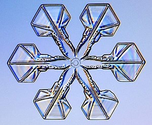 Snowflake Science
