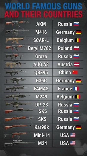 Iconic Guns & Their Countries: AKM, G36, FAMAS, Groza – Must See!