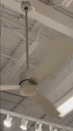 Fanimation Zonix Ceiling Fans in a store
