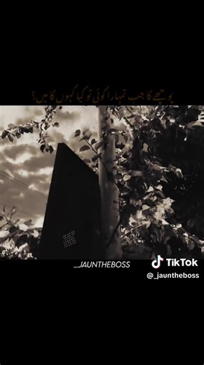 poetrylovers🥀 (@poetrylovers9254)’s videos with original sound - poetrylovers🥀