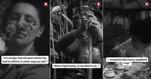 In 1957, BBC fooled people into thinking Spaghetti grew on trees. Many even phoned in to buy them.