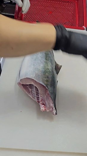 Fresh rainbow fish fillets | fish cutting skills #fblifestyle #fishcutting | Food World