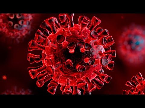 Coronavirus Latest | Covid-19 Science Documentary 2020