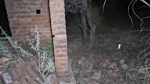 329K views · 10K reactions | We Entered Into A Marriage Hall ! ||...