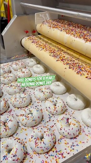 Inside Stan’s Donuts Factory 🍩 Chicago’s Sweetest Secret + FREE Donuts?! #NationalDonutDay