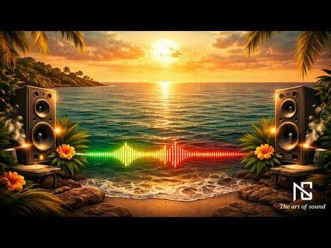 Darbuka vibration BEAT by NYKS SOUND