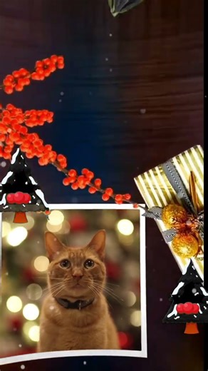 Cute Christmas Pets 🎄🐶🐱 | Adorable Dogs & Cat in Festive Mood #motivation 🎅✨”