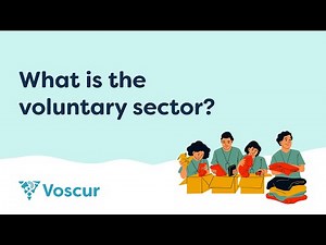 What is the voluntary sector?