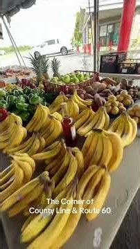 Plant City, Florida Fresh Fruit and Veggies | Brown Eggs