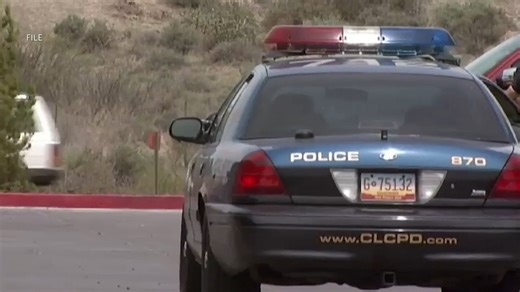 How Las Cruces law enforcement arrested 14 people for retail theft